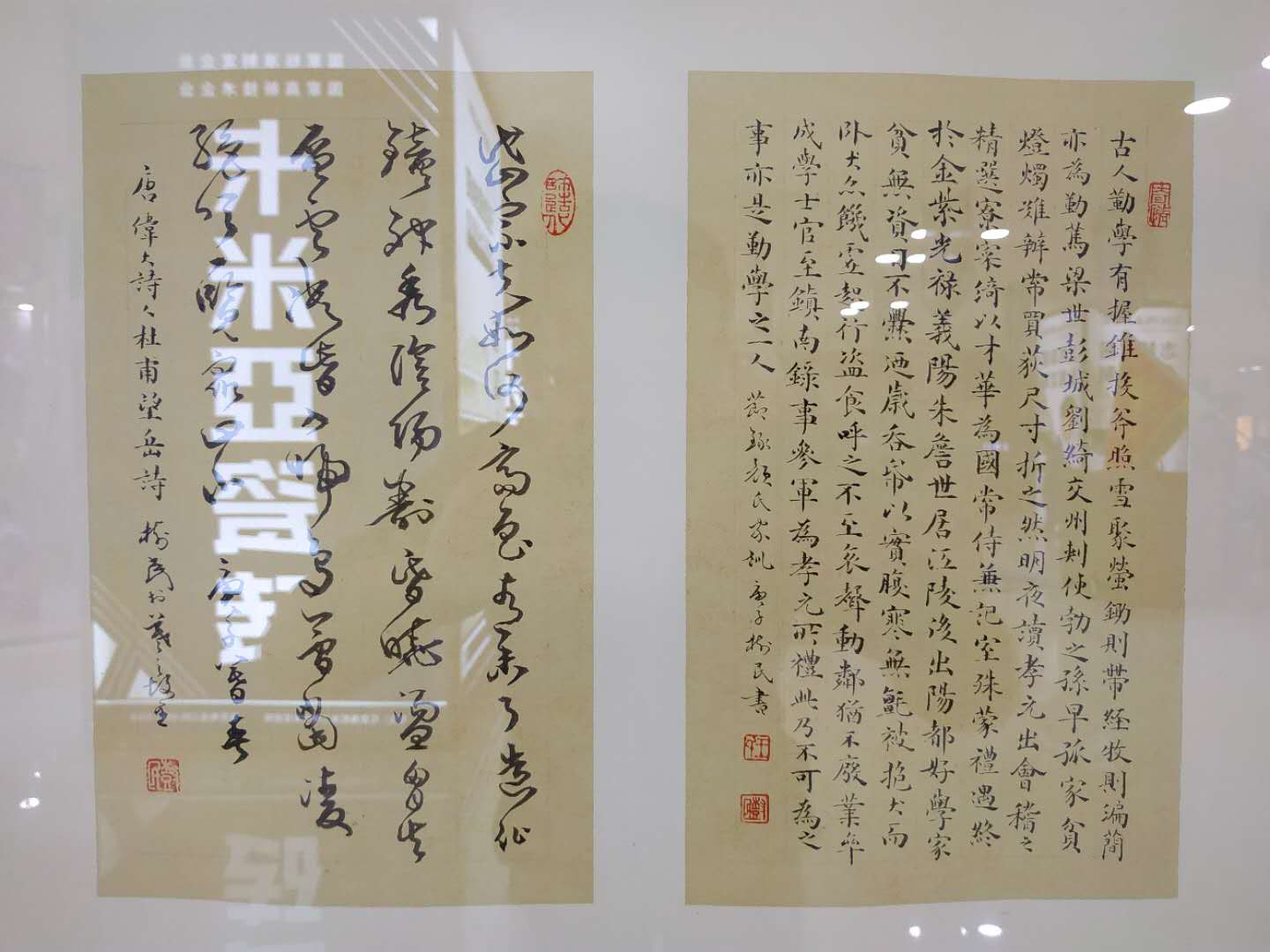 ë鷨
