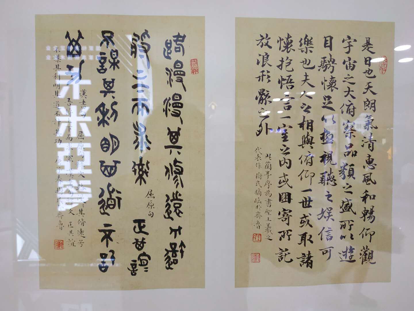 ë鷨