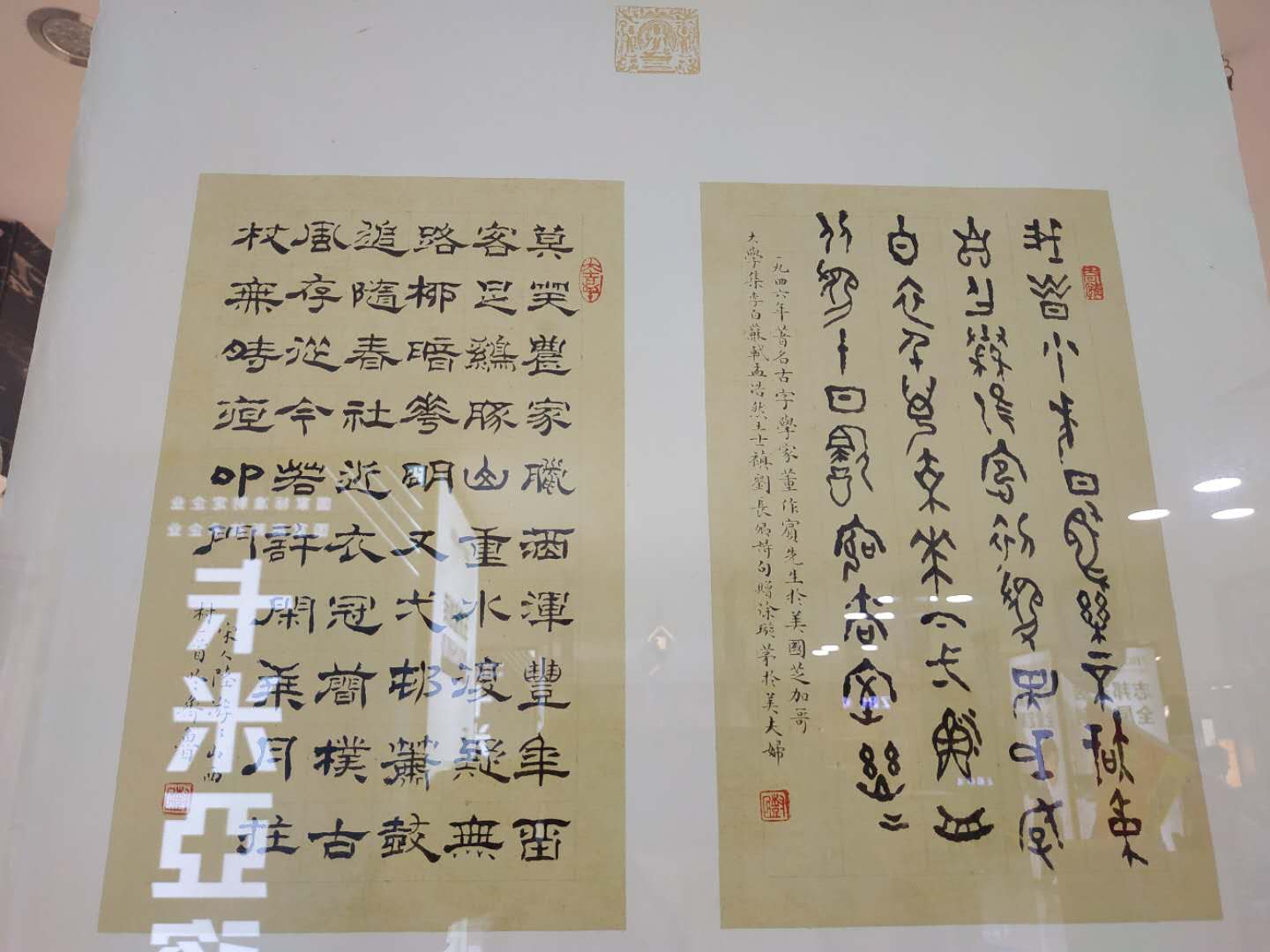 ë鷨