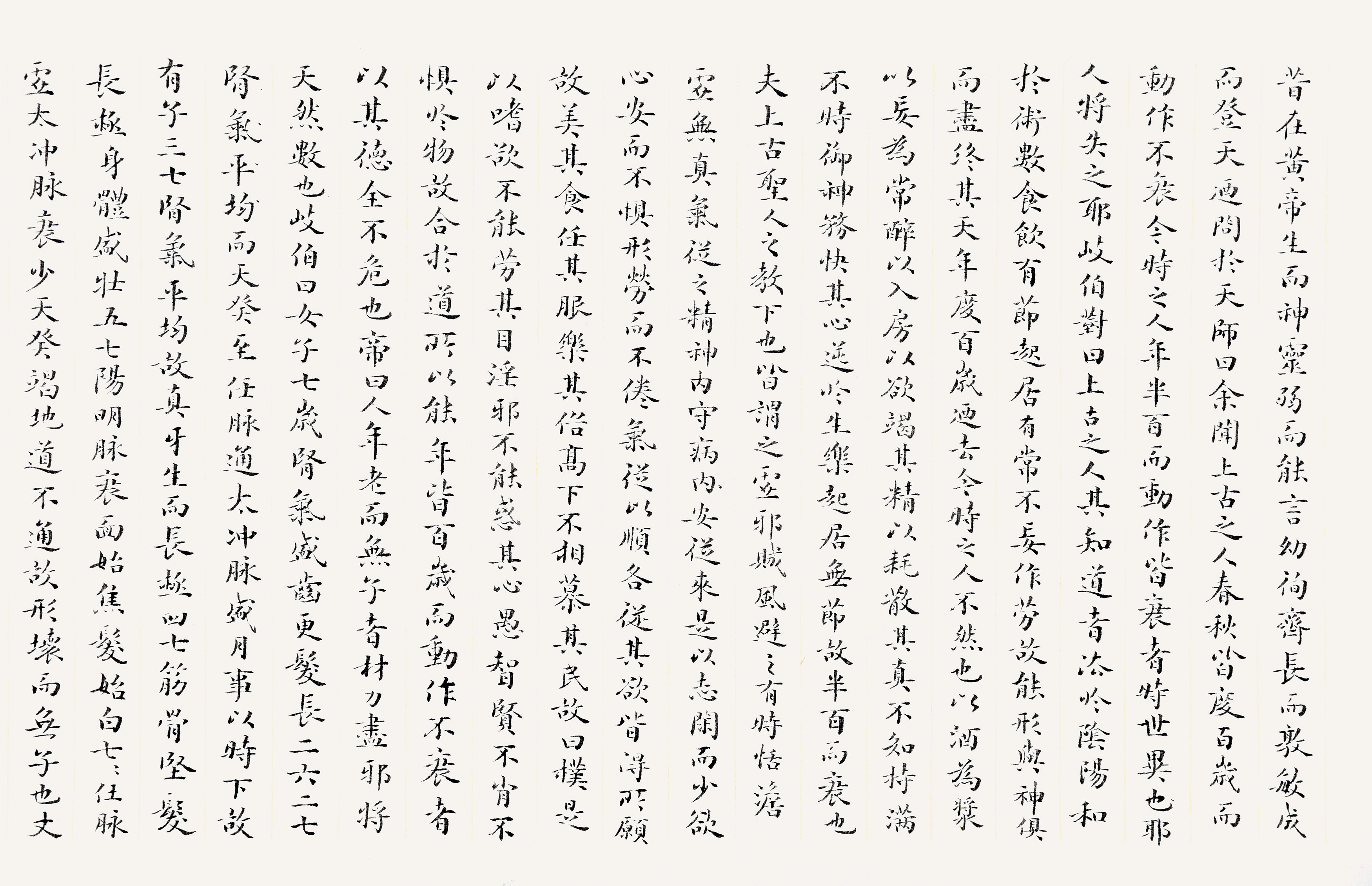С鷨