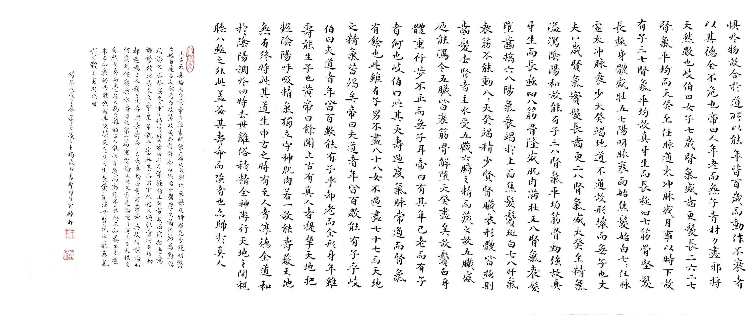 С鷨
