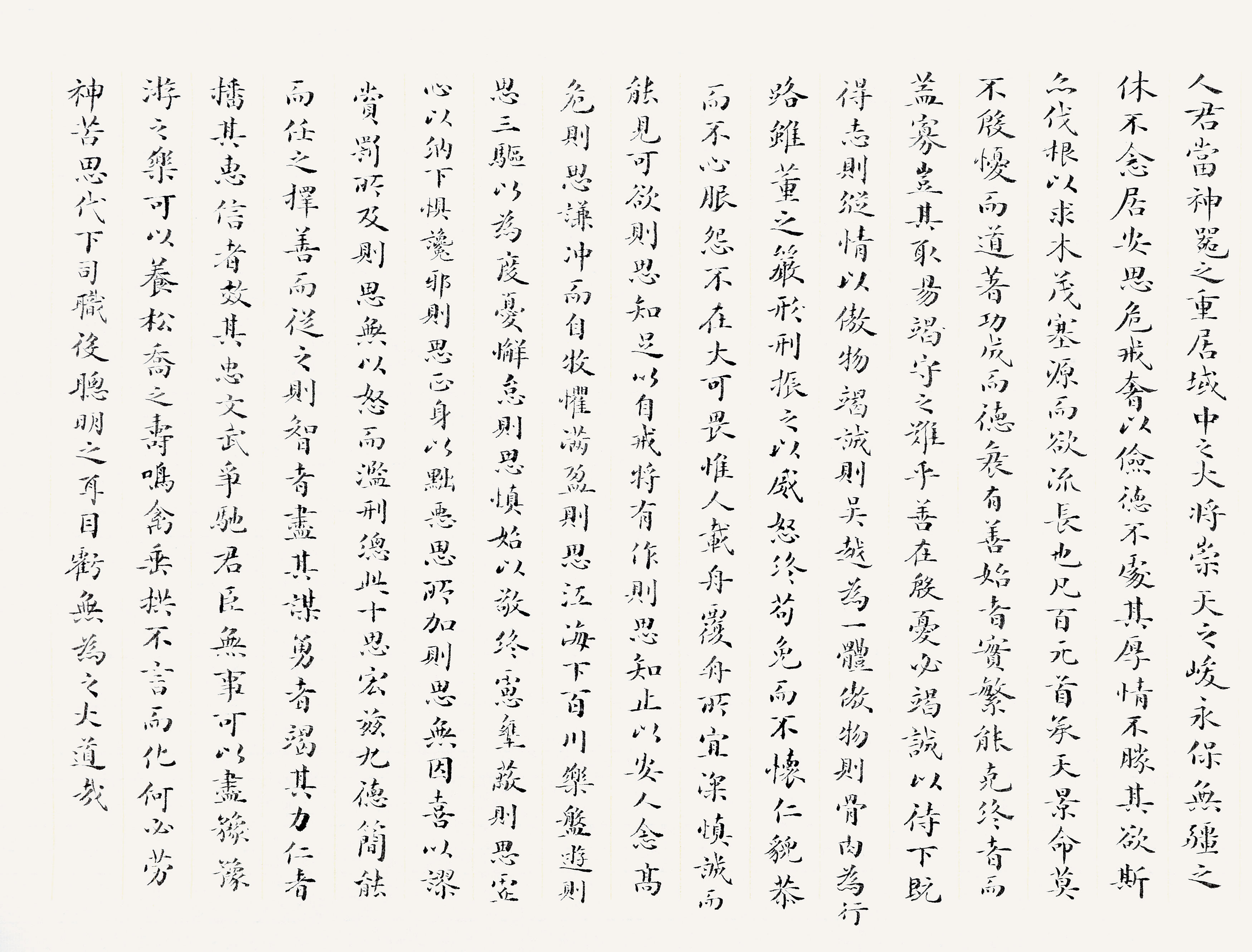 С鷨