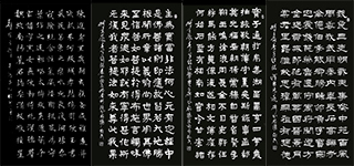 ָ鷨